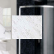 Marble Carrera