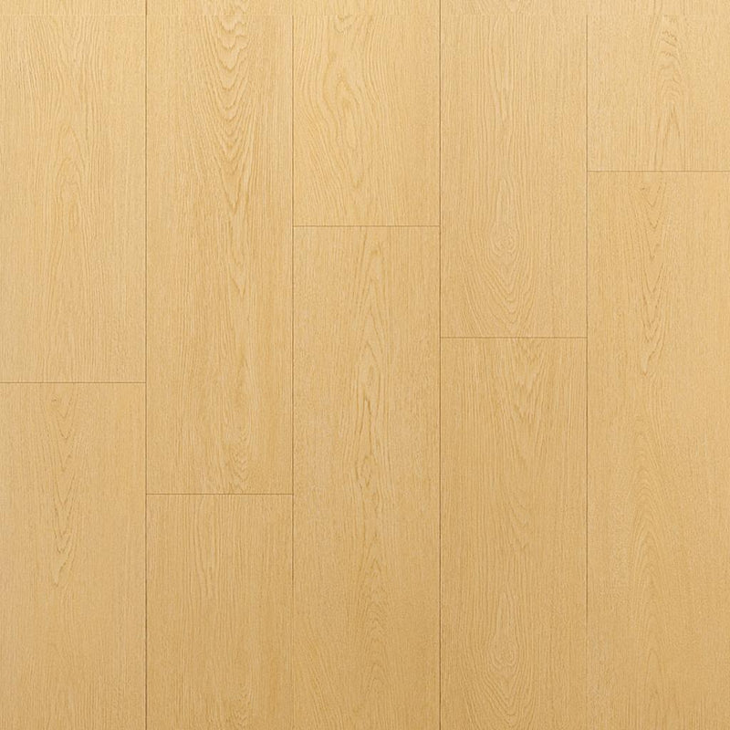Blond Oak
