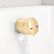 Brushed Brass